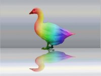 Rainbow Goose